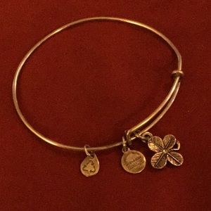 Alex and Ani